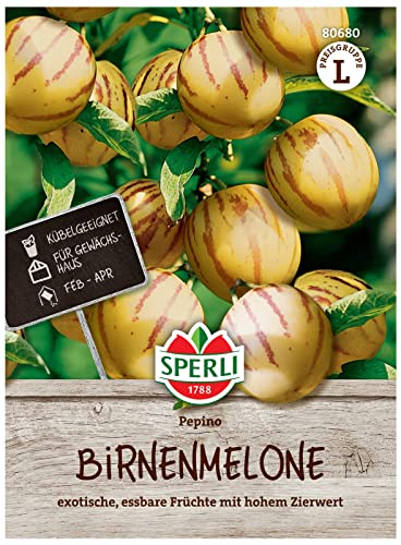 80680 Sperli Premium Birnenmelone Samen | Melonenbirne Samen | Pepino Samen | Pepino Melonenbirne Samen | Birnenmelone Pflanze | Melonenbirne Pflanze von Sperli