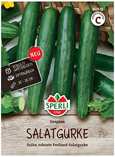 Sperli Salatgurkensamen Gergana 80828 für 35 Pflanzen – Ertragreiche Gurkensamen für Gewächshaus & Freiland, Kübelgeeignet, Bitterfrei, Aromatisch, Bis 35 cm lang, Gemüsesamen von Sperli