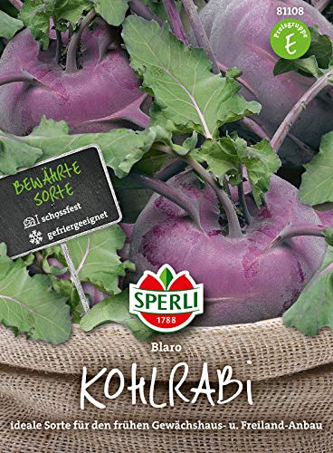 81108 Sperli Premium Kohlrabi Samen Blaro | Schossfest | Große Knollen | Nicht Holzig | Blauer Kohlrabi Saatgut von Sperli