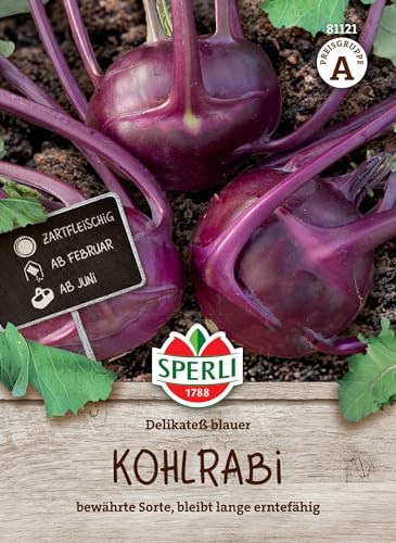 81121 Sperli Premium Kohlrabi Samen Delikateß Blauer | Aromatisch Zart | Langes Erntefenster | Kohlrabi Saatgut von Sperli