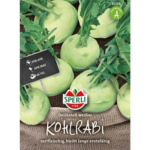 81134 Sperli Premium Kohlrabi Samen Delikateß Weißer | Aromatisch Zart | Langes Erntefenster | Kohlrabi Saatgut von Sperli