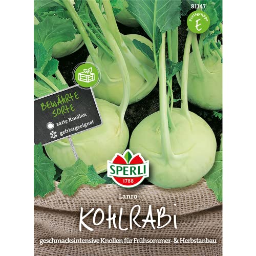 81147 Sperli Premium Kohlrabi Samen Lanro | Aromatisch Zart | nicht holzig | Schossfest | Kohlrabi Saatgut von Sperli