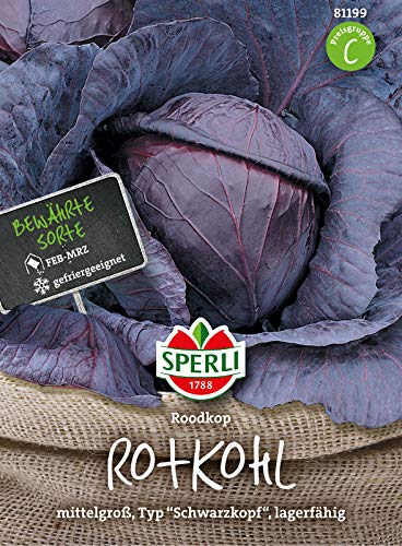 81199 Sperli Premium Rotkohl Samen Roodkop | Fein im Geschmack | Lagerfähig | Mittelgroß | Rotkohl Saatgut | Kohl Samen von Sperli