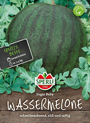 81550 Sperli Premium Wassermelone Samen Sugar Baby | Schnellwachsend | Melonen Samen | Wassermelonen Samen | Samen Wassermelone | Wassermelonen Pflanze | Mini Wassermelone von Sperli