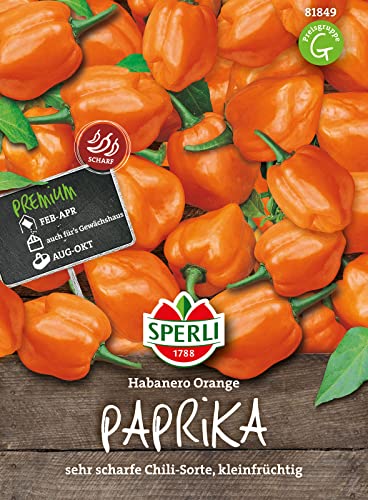 81849 Sperli Premium Chili Samen Habanero Orange | Habanero Samen | Peperoni Samen | Chilli Samen | Chilli Samen Extrem Scharf | Peperoni Samen Scharf | Chili Samen Extrem Scharf von Sperli