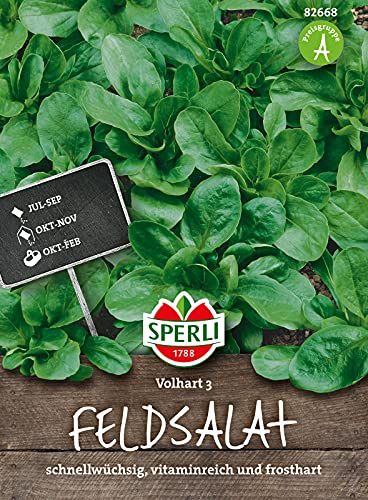 82668 Sperli Premium Feldsalat Samen Vollhart 3 | Extra Frosthart | Ertragreich | Feldsalat Saatgut | Salat Saatgut von Sperli