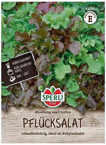 83045 Sperli Premium Salat Samen Mix | Pflücksalat Samen | 3 Sorten | Salatsamen Pflücksalat | Lollo Rosso Samen | Salad Bowl | Amerikanischer Brauner von Sperli