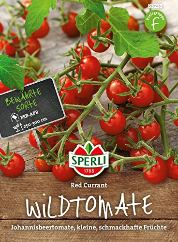 83235 Sperli Premium Tomatensamen Red Currant | Buschtomaten Samen | Tomatensamen Resistent | Wildtomaten Samen | Johannisbeertomaten Samen | Wildtomate rote murmel | Alte Tomatensorten von Sperli