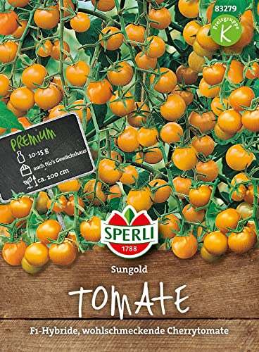 Sperli Cherry-Tomatensamen Sungold, F1 83279 - Naschsorte - intensiv-süßes Aroma - wüchsige Sorte - Inhalt für 4 Pflanzen - Samen Gemüse, Gemüsesamen Sperli Cherry-Tomatensamen Sungold, F1 83279 - Naschsorte - intensiv-süßes Aroma - wüchsige Sorte - Inhalt für 4 Pflanzen - Samen Gemüse, Gemüsesamen von Sperli