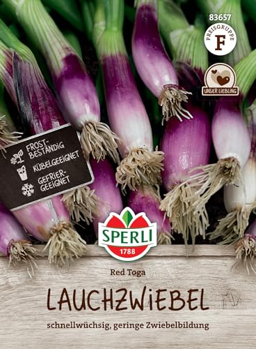 83657 Sperli Premium Frühlingszwiebeln Samen Red Toga | Schnellwüchsig | Zartrosa | Lauchzwiebeln Samen | Zwiebel Samen | Winterheckenzwiebel Samen von Sperli