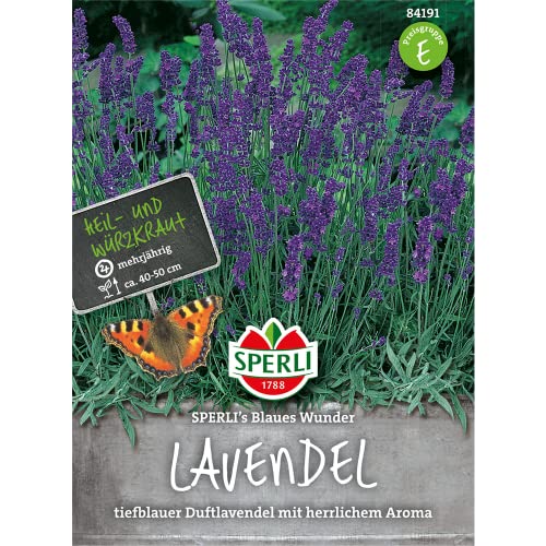 84191 Sperli Premium Lavendel Samen Blaues Wunder | Tiefblauer Duftlavendel | Mehrjährig | Lavendel Samen | Lavendel Saatgut von Sperli