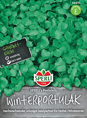 84475 Sperli Premium Postelein Samen | Schnellwachsend | Portulak Samen | Herbst- u. Winterernte | Winterportulak Samen | Wintersalat Samen 84475 Sperli Premium Postelein Samen | Schnellwachsend | Portulak Samen | Herbst- u. Winterernte | Winterportulak Samen | Wintersalat Samen von Sperli