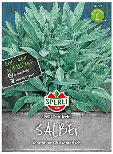 84592 Sperli Premium Salbei Samen | Samen Salbei | Salbei Samen Mehrjährig | Weißer Salbei Samen | Kräuter Samen von Sperli