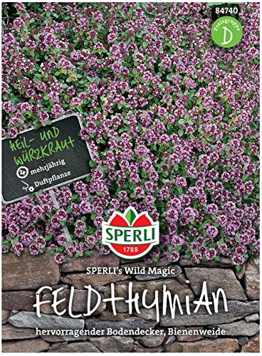 84740 Sperli Premium Thymian Samen Wild Magic | Samen Thymian | Thymian Samen Mehrjährig | Thymian Pflanze Samen | Kräuter Samen von Sperli