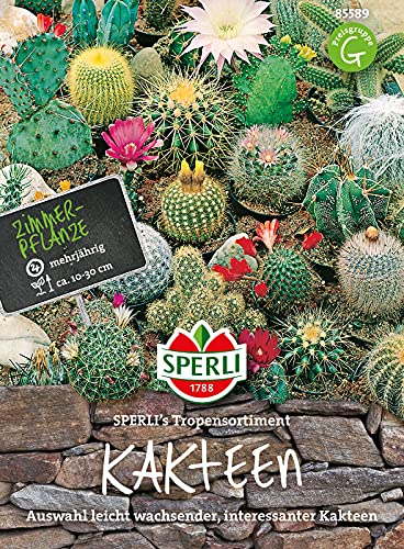 85589 Sperli Premium Kakteen Samen Mix | Sukkulenten Samen Mischung | Kakteen Saatgut | Kaktus Samen | Zimmerpflanzen von Sperli