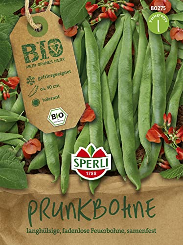 BIO Prunkbohne Lady Di von Sperli