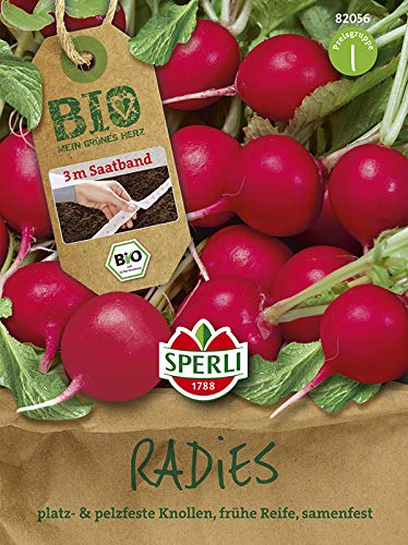BIO-Radies Rudolf 3 m Saatband von Sperli