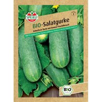 Bio Salatgurke Marketmore Gemüsesamen - Sperli von Sperli