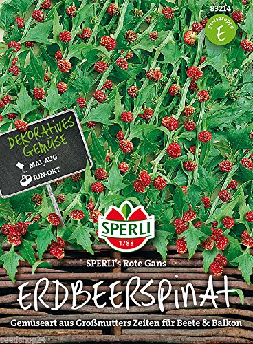 Erdbeerspinat - Rote Gans von Sperli