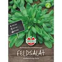 Feldsalat Holländischer breitblättriger - Gemüsesamen - Sperli von Sperli