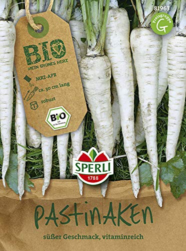 Gemüsesamen - Bio-Pastinaken Bio-Saatgut von Sperli-Samen von Sperli