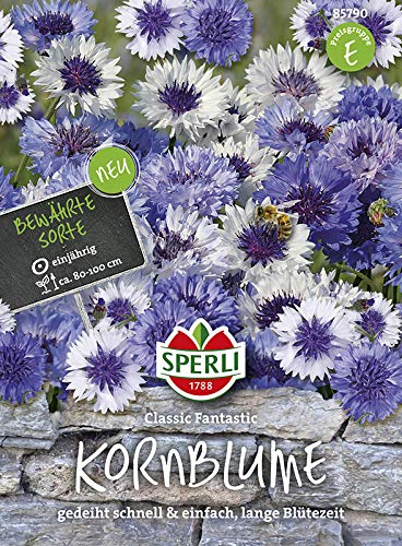 Kornblumen Classic Fantastic von Sperli-Samen von Sperli