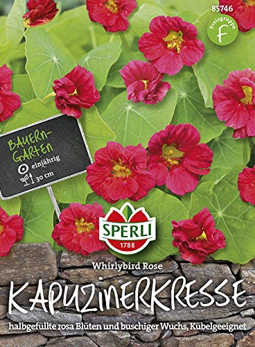 Kresse - Kapuzinerkresse Whirlybird Rose von Sperli-Samen von Sperli