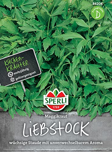 Liebstock Maggikraut, für wassertreibende Teemischungen Magen- und Blutreinigungstees von Sperli
