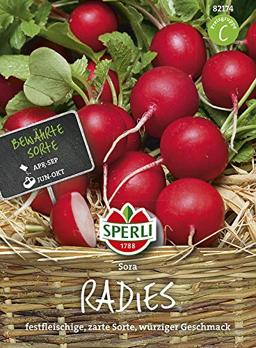 Radieschensamen - Radies Sora von Sperli-Samen von Sperli