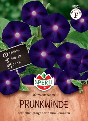 SPERLI Prunkwindensamen Schwarze Witwe - Einjährige Kletterpflanze, Wuchshöhe 2-3m, Ideal für Zäune und Pergolen, Violetten-Roten Blüten, Blumensaatgut von Sperli