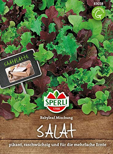 83018 Sperli Premium Salat Samen Mix | Babyleaf Salatmischung | Saatplatte | Salat Saatgut | Salat Mix Samen von Sperli