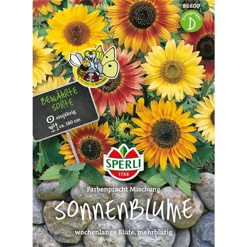 Sonnenblume, Farbenpracht Mischung, wochenlange Blüte mehrblütig von Sperli