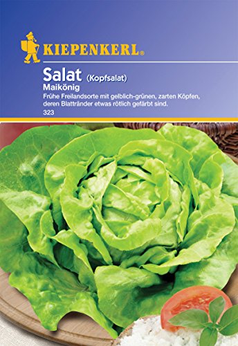 Sperli 323 Gemüsesamen Kopfsalat Maikönig, grün von Sperli