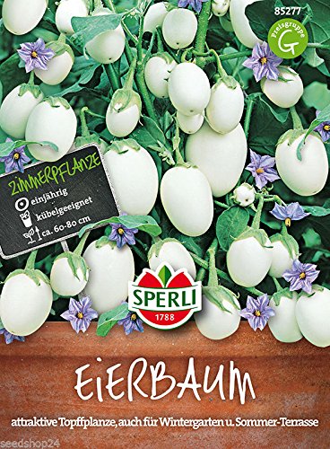 Sperli 4001523852776 Eierbaum (Solanum) Essbare Früchte Saatgut von Sperli