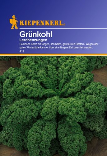 Sperli 411 Gemüsesamen, grünkohl Lerchenzungen, grün von Sperli