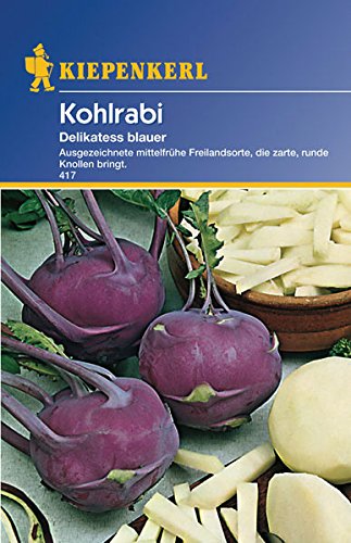 Sperli 417 Gemüsesamen Kohlrabi Delikateß, blau/grün von Sperli