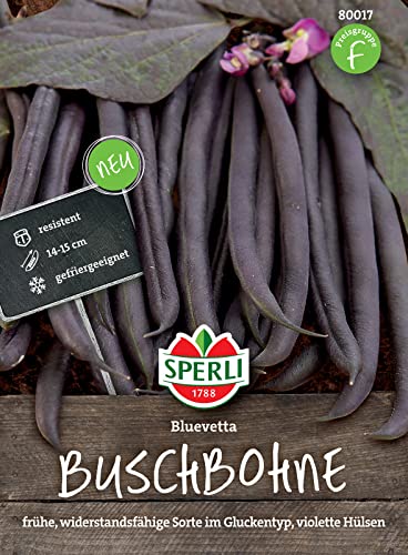 Sperli 80017 Buschbohne Bluevetta, reifen früh und schmecken sehr aromatisch, von Natur aus widerstandsfähig und robust von Sperli