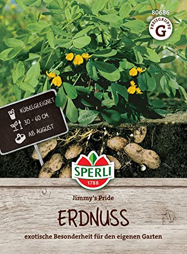 Sperli Erdnusssamen Jimmy's Pride 80686 - Samen für eine exotische Besonderheit für den eigenen Garten mit Inhalt für 5 Pflanzen und einer Wuchshöhe von 30 bis 60 cm - Saatgut Sperli Erdnusssamen Jimmy's Pride 80686 - Samen für eine exotische Besonderheit für den eigenen Garten mit Inhalt für 5 Pflanzen und einer Wuchshöhe von 30 bis 60 cm - Saatgut von Sperli