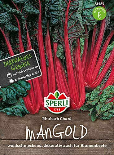 81485 Sperli Premium Mangold Samen Rhubarb Chard | Zart | Wohlschmeckend | Mangold Saatgut | Mangold Saat von Sperli