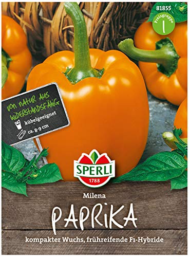 Sperli Premium Paprika Samen Milena ; Frühreifend, Ertragreich, große Früchte ; Paprika Saatgut von Sperli