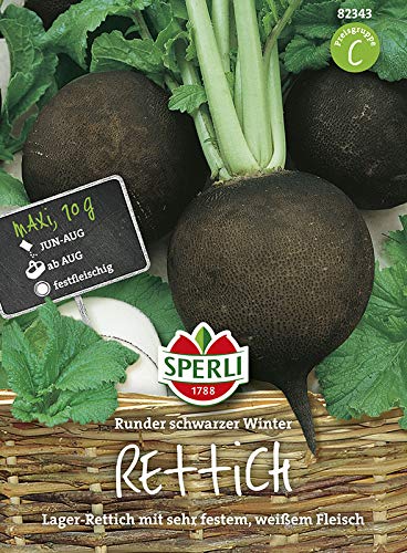 Sperli 82343 Rettich Runder schwarzer Winter (Rettichsamen) von Sperli