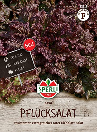 Sperli 82515, Eichblattsalat Saxo, resistent und ertragreich, roter Pflücksalat, robust gegen falschen Mehltau und Grüne Salatblattlaus von Sperli