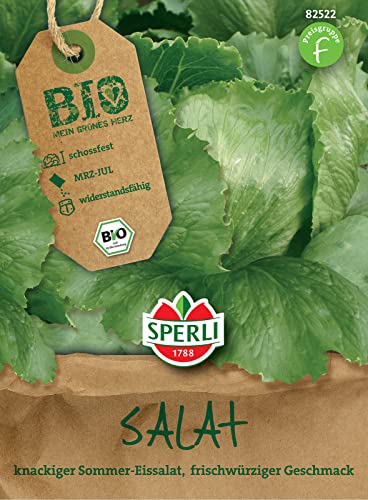 Sperli 82522 BIO Eissalat, eignet sich für den Sommeranbau, schossfest und widerstandsfähigkeit, lange erntbar von Sperli