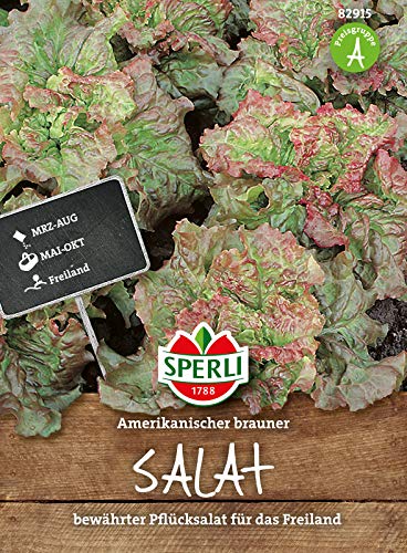 82915 Sperli Premium Salat Samen Amerikanischer brauner | Pflücksalat Saatgut | Salat Saatgut | Pflücksalat Samen von Sperli