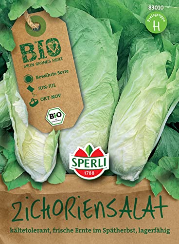 Sperli 83010 BIO Zichoriensalat, bildet im Spätherbst feste tütenförmige Köpfe, lange lagerfähigkeit von Sperli