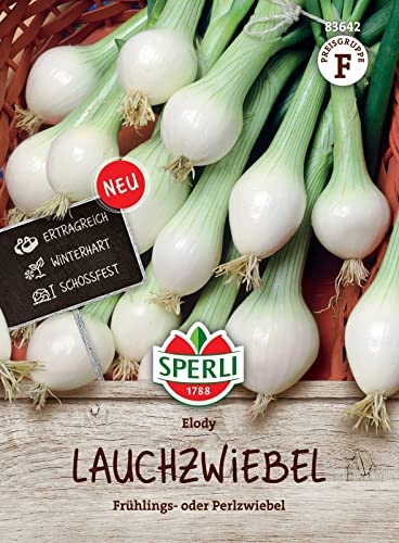 Sperli 83642, Lauchzwiebel Elody, Portionssaatgut, Frühlingszwiebel/ Perlzwiebel, ertragreich - winterhart - schossfest Sperli 83642, Lauchzwiebel Elody, Portionssaatgut, Frühlingszwiebel/ Perlzwiebel, ertragreich - winterhart - schossfest von Sperli