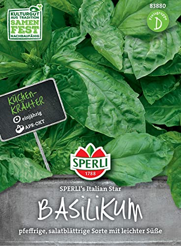 Sperli 83880 Basilikum SPERLI's Italian Star, dunkelgrünes Basilikum mit großen glänzenden Blättern und kräftigem Geschmack von Sperli