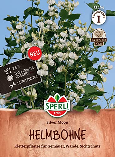 Sperli 85494, Helmbohne Silver Moon, Kletterpflanze für Gemäuer & Wände, Sichtschutz, trockenheitstolerant, gute Schnittblume von Sperli