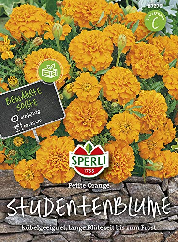 Sperli 87279 Studentenblume Petite Orange (Studentenblumensamen) von Sperli