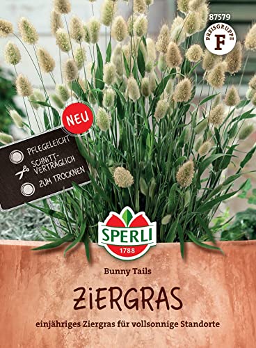 Sperli 87579, Ziergras Bunny Tails, einjähriges Ziergras für vollsonnige Standorte, Pflegeleicht, schnittverträglich, Ideal für Trockensträuße von Sperli